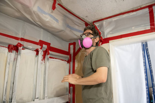 Best Mold Damage Restoration  in Cochranton, PA